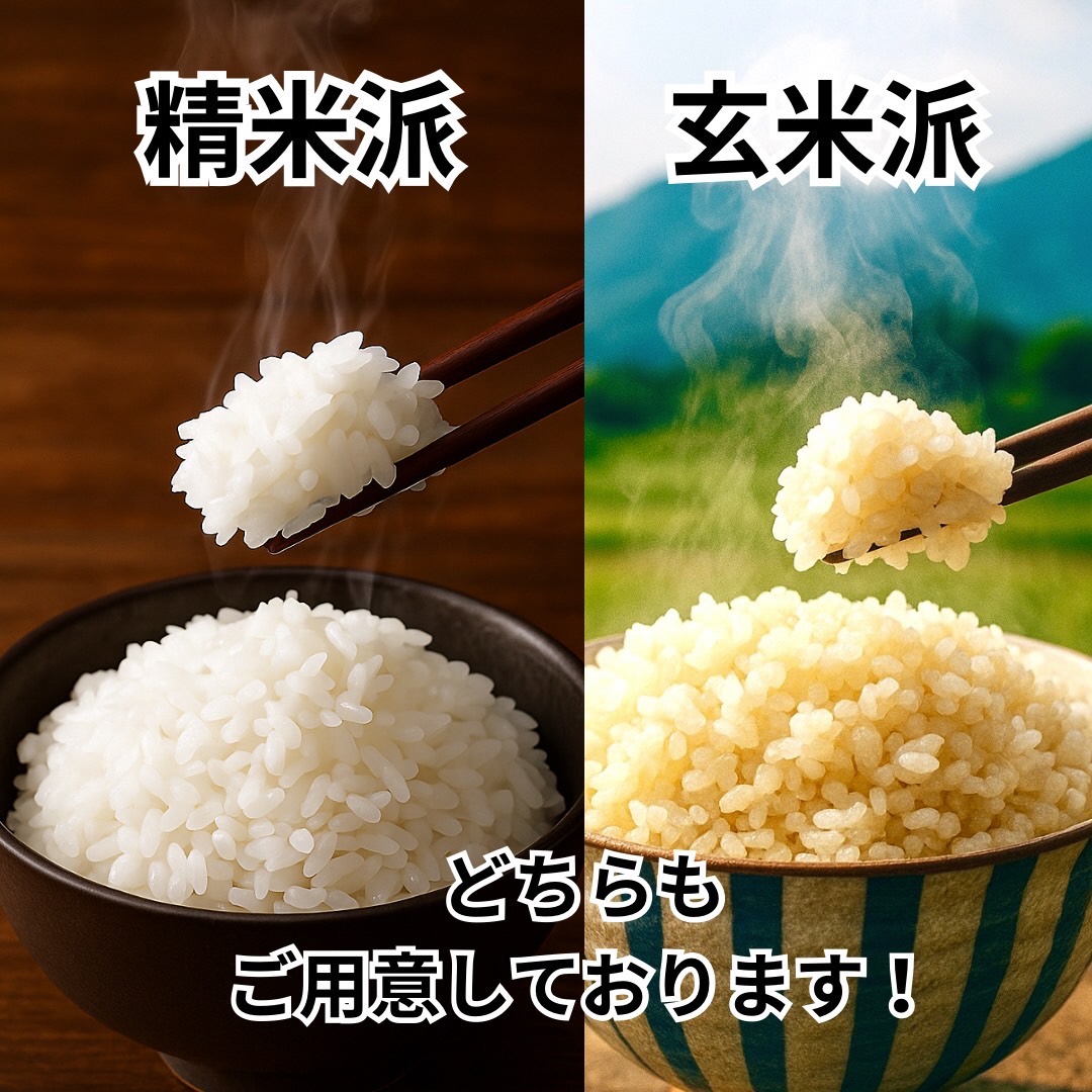 令和8年産 新米 キヌヒカリ 10kg (玄米) 明田のお米 玄米 お米 新米 南