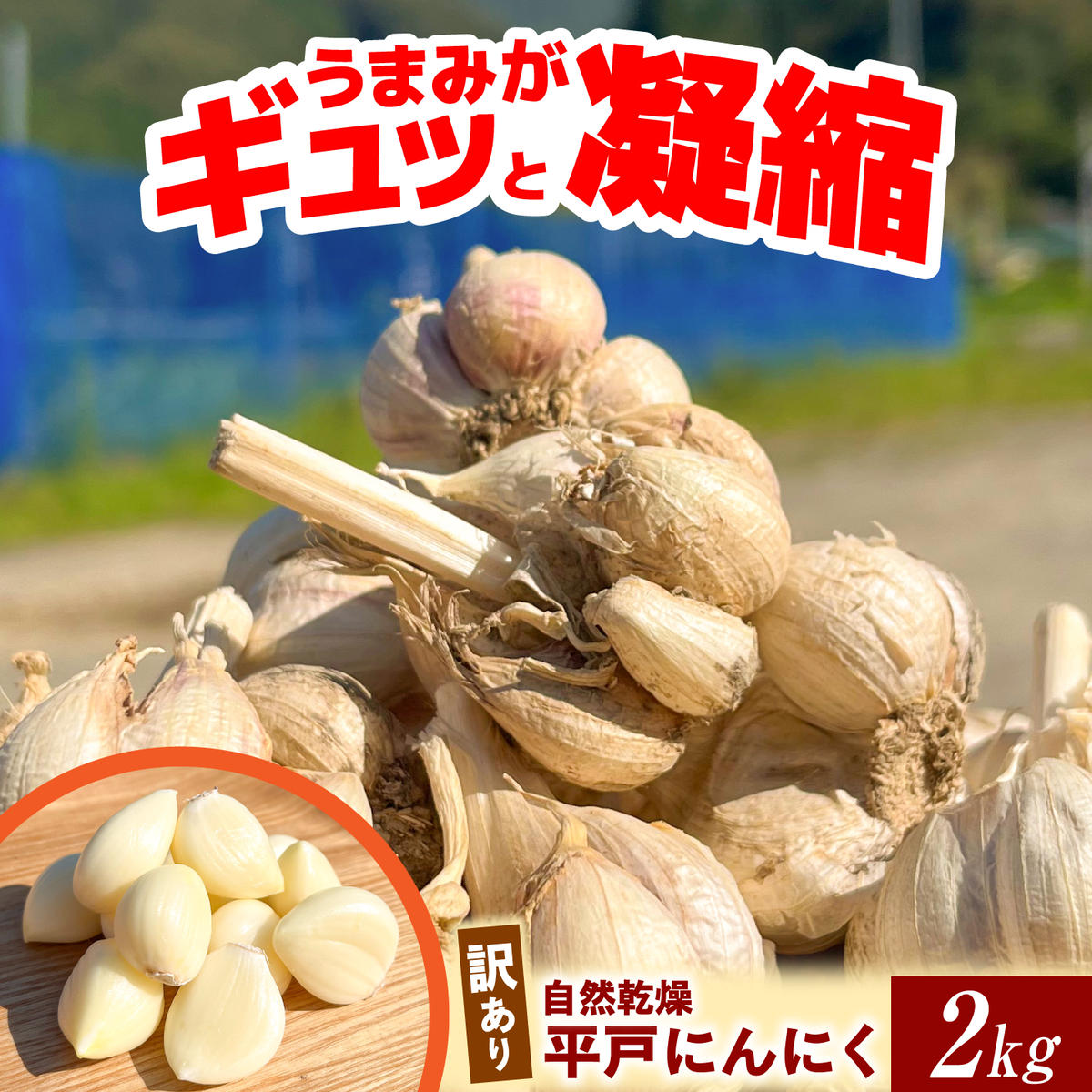 訳あり】 平戸にんにく 約2kg 乾燥 ニンニク 平戸にんにく 訳アリ わけ