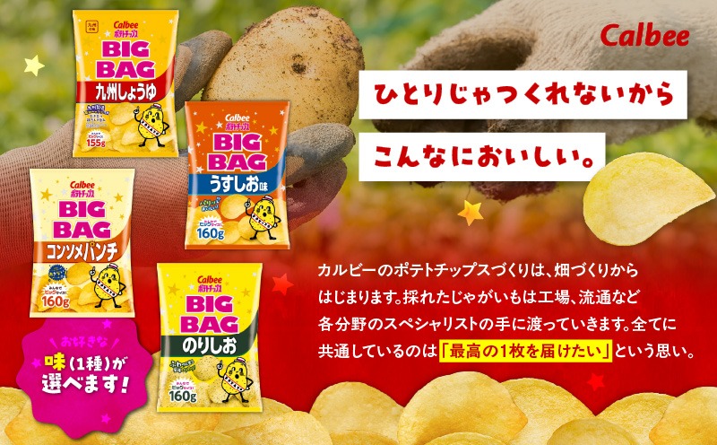 味が選べる！＞カルビーポテトチップス（BIGBAG）12袋 K194-002_b
