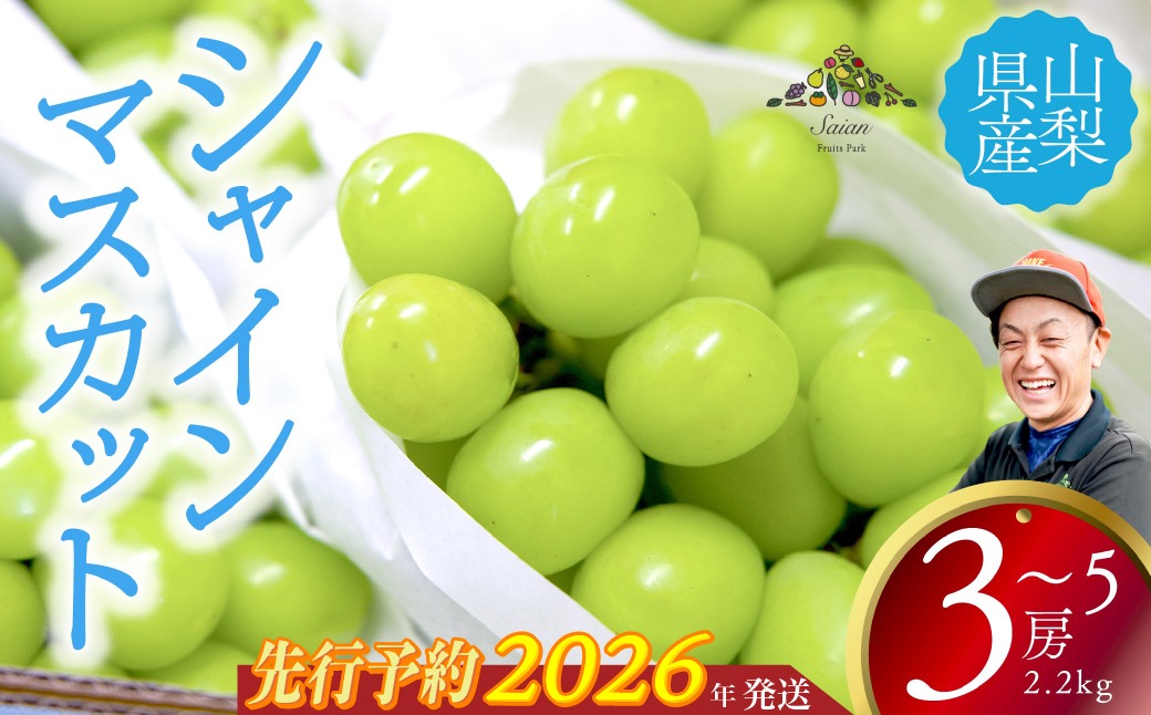 2026年発送分 先行予約】 シャインマスカット 2.2kg以上（3～5房