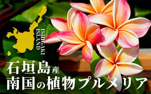 c9073309-aea2-46c5-8b08-