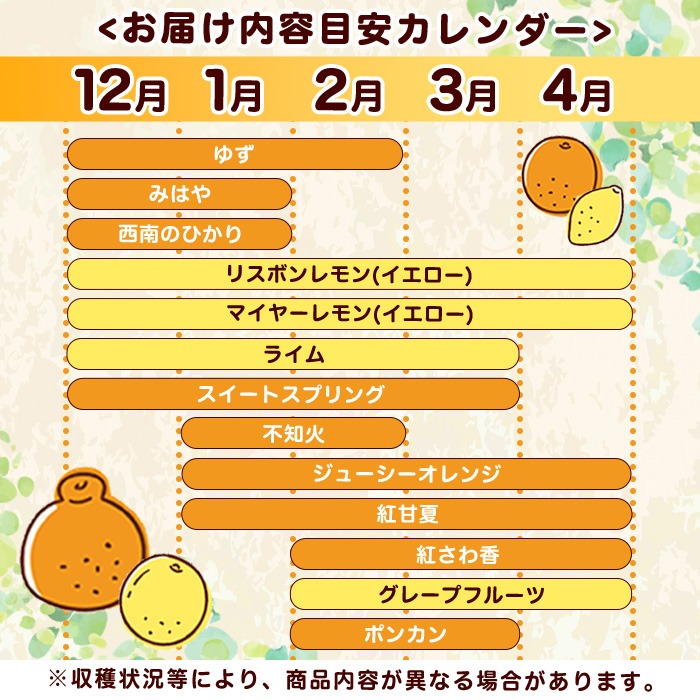 柑橘専門☆春夏冬支店　剣先5枚入約108g 約118g 約127g 先行予約受付中！2025年12月発送分！＞旬の柑橘詰合せセット (約