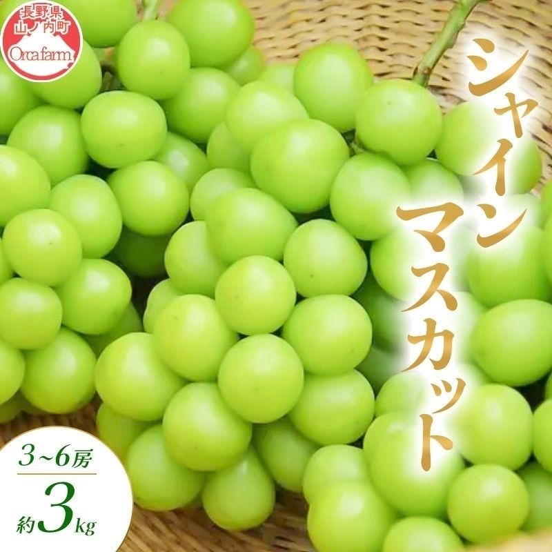 2026年10月～発送】シャインマスカット 3～6房 約3kg ぶどう ブドウ