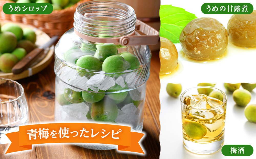 十郎梅、8kgで11000円新鮮な青梅 収穫したて 梅干・梅酒・梅シロップ用 十郎梅、8kgで11000円新鮮な青梅 収穫したて 梅干・梅酒・梅シロップ