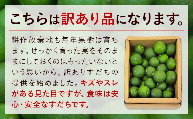 徳島県神山町産すだち　混合サイズ　　20キロ　　キズ多く・色むらあり　② 徳島県神山町のすだちは最高です｜solitude 普通の生活