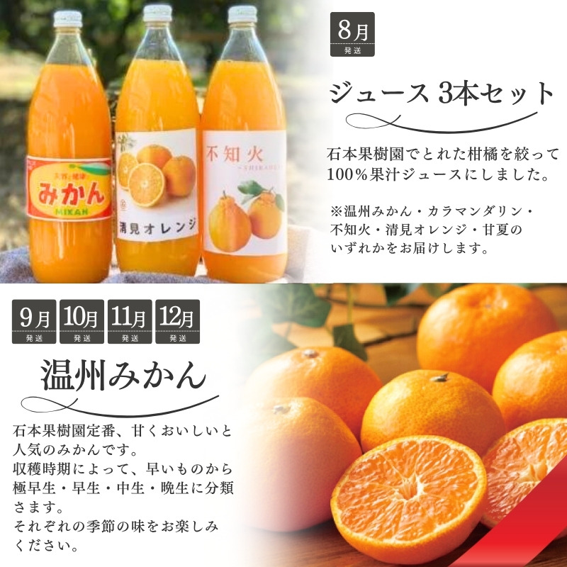 みかん【全10回】 柑橘 定期便 石本果樹園 店主おすすめの柑橘セットを