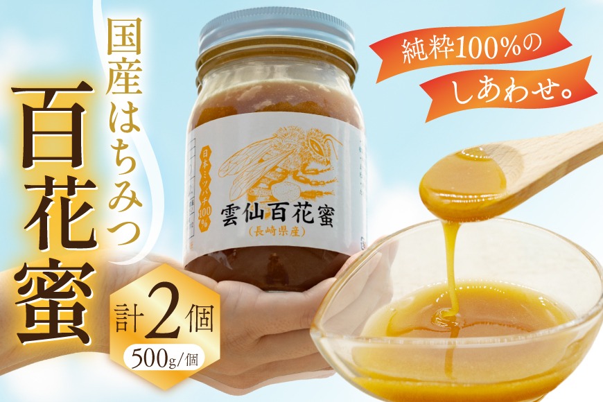 食品 日本蜜蜂の蜂蜜 今年6月末採蜜 実量500g×2本