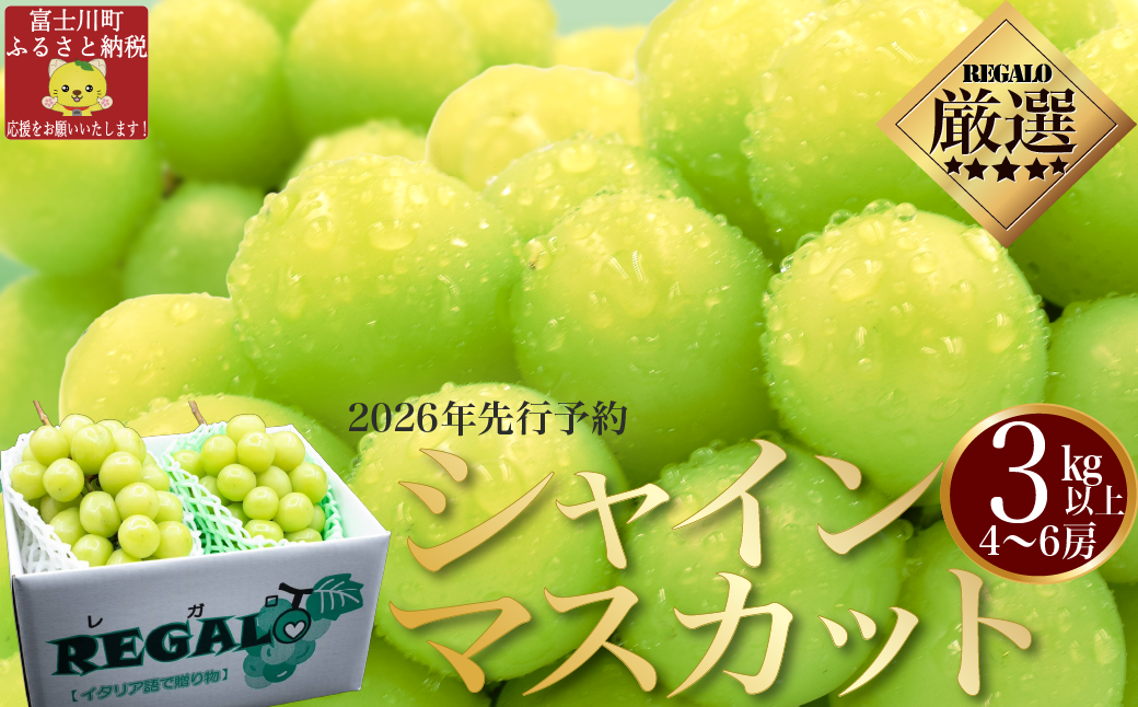 2026年発送分 先行予約】頬張る幸福感 ～緑の宝石・シャインマスカット