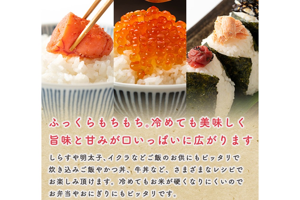 定期便8ヶ月》令和7年産 【白米】家計お助け米 あきたこまち 5kg