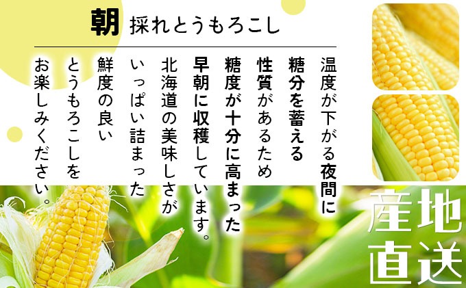 先行予約＞【2026年発送】北海道産 とうもろこし 味来 L?LLサイズ 20本