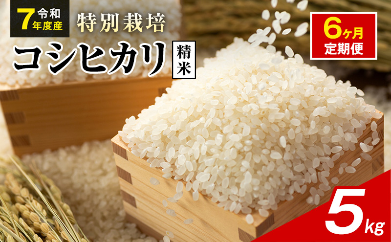令和7年産 特別栽培米 コシヒカリ 白米 5kg 静岡県産 色彩選別済 食に