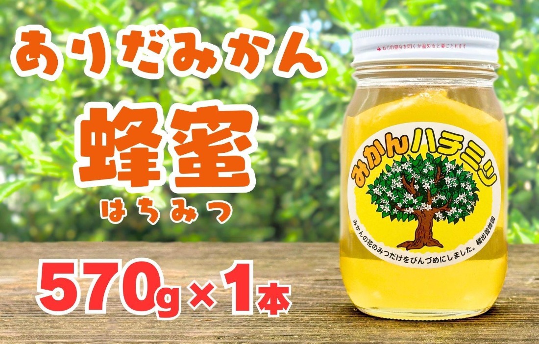 和歌山県有田産 みかん蜂蜜 ありだみかん蜂蜜（570g／化粧箱入り） BC01（和歌山県有田川町