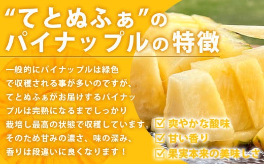 2026年6月中旬以降発送》島の美味しいを詰め込んだ、パイン