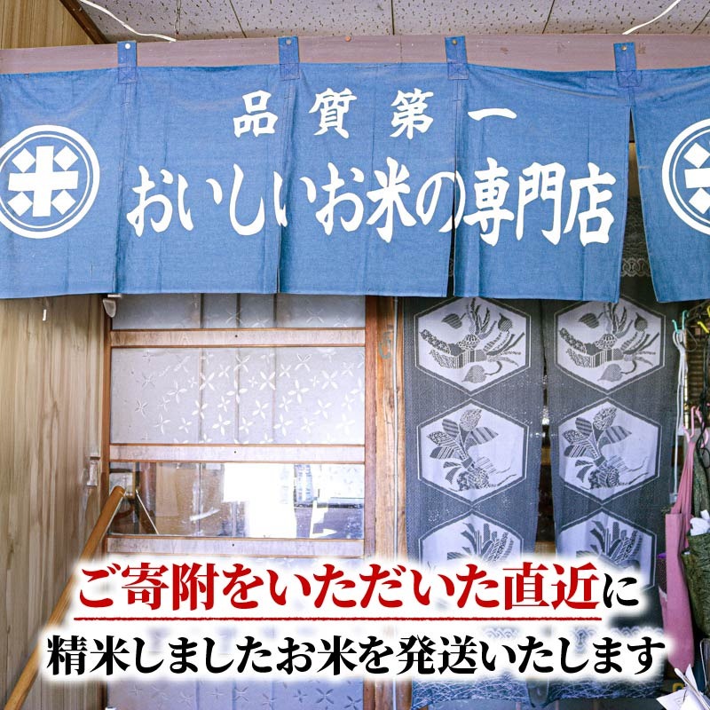 令和8年産 新米 ひとめぼれ 20kg (10kg×2袋) 岩手県産 米 白米 はくま