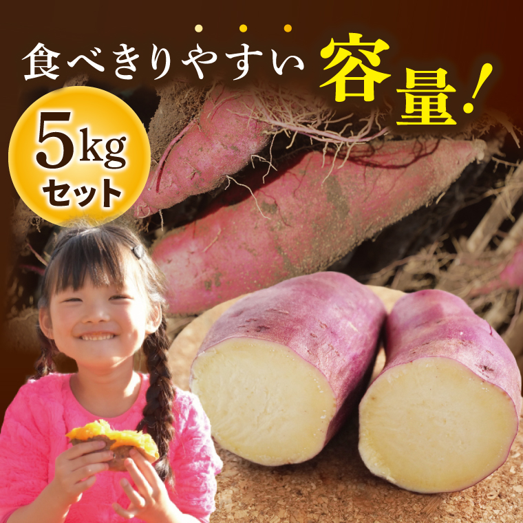 先行予約】熟成さつまいも 栗かぐや 5kg【10月中旬より順次発送予定