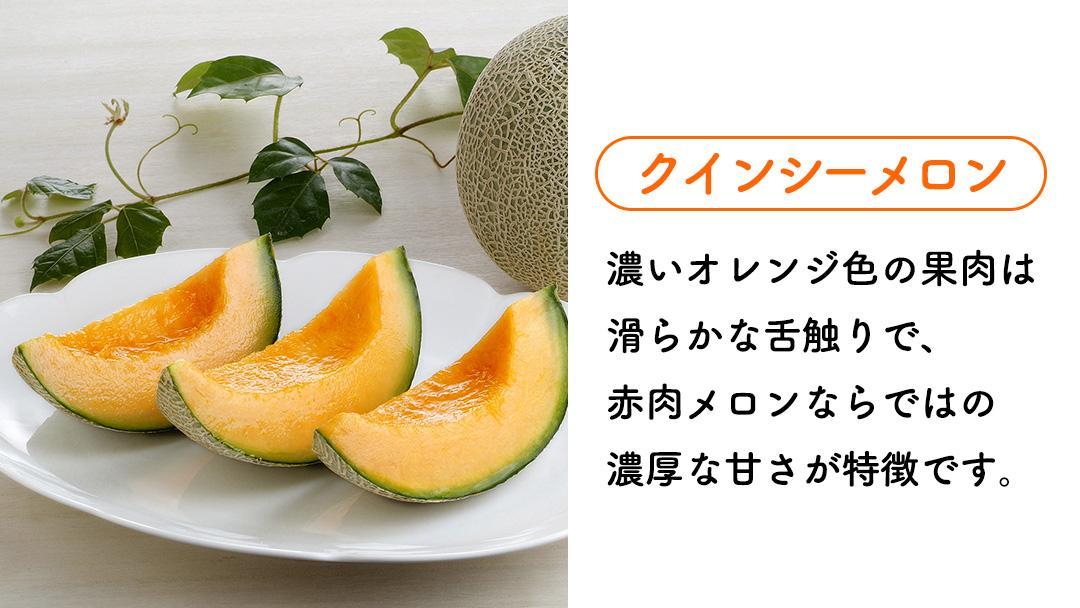 6月上旬頃より発送】茨城県産 青肉・赤肉メロンセット 秀品または優品