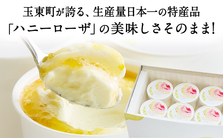 糖度17度の甘さ♪ハニーローザアイスクリーム 120ml 6個 熊本県 玉名郡