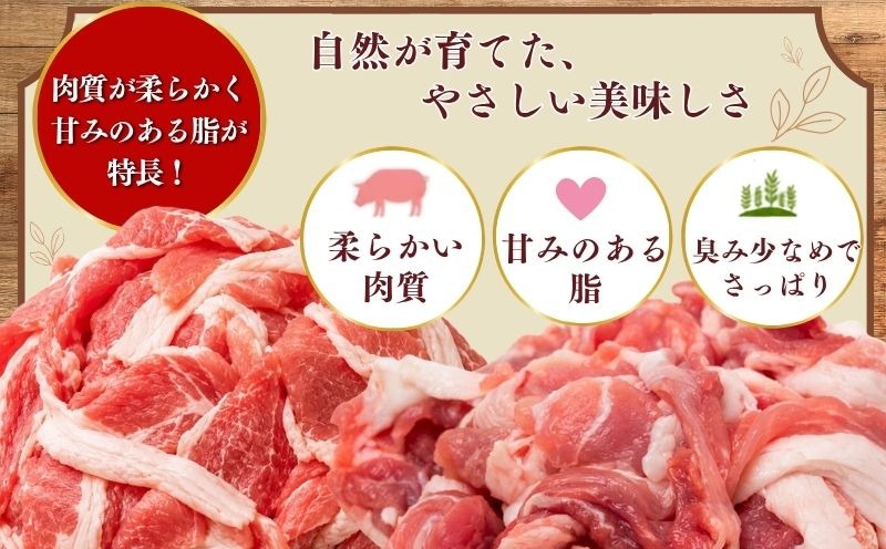 放牧豚の肉質と脂