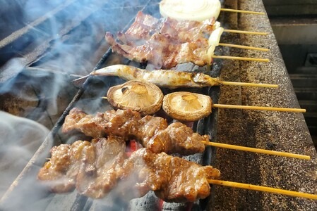 焼き物 Amazon.co.jp: ドウシシャ 鉄焼プレート じゅーじゅー厚焼き