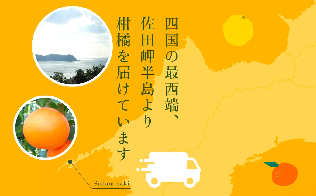 先行予約】【贈答用】紅まどんな（生果2.5kg/L～2Lサイズ）※離島への