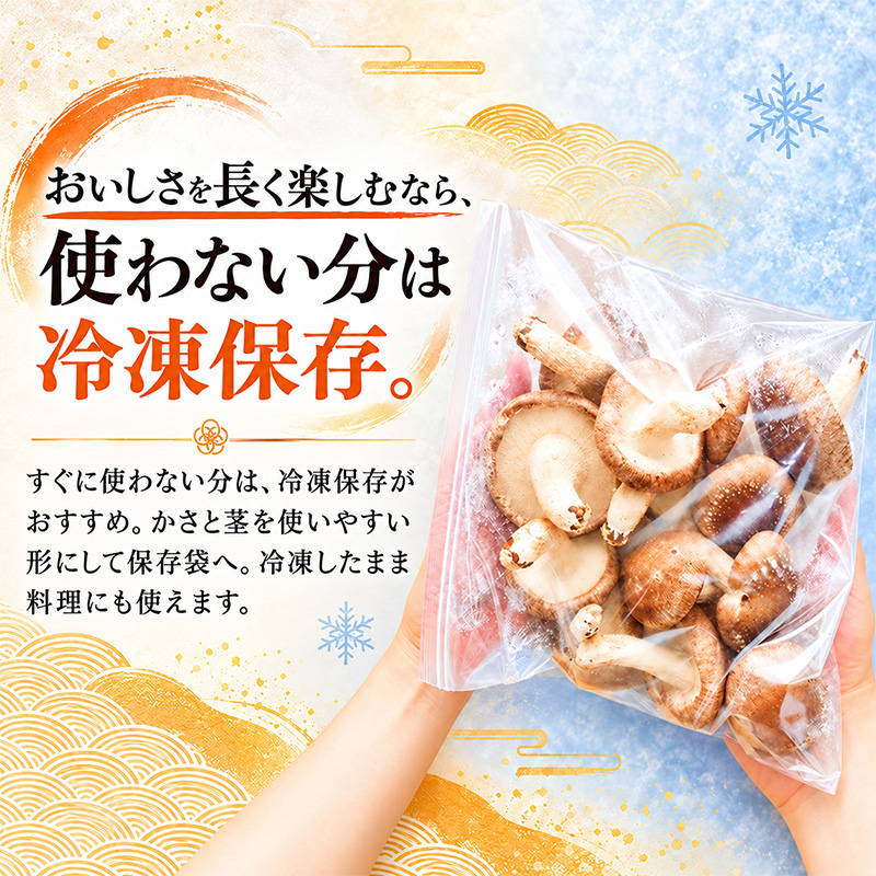 訳あり 椎茸 北海道 厚岸町 上尾幌 朝どれ 菌床 しいたけ 「極茸