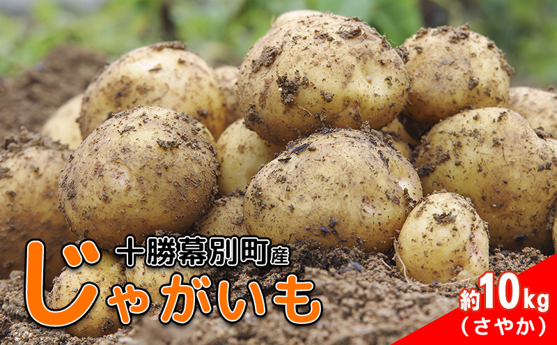自然栽培 じゃがいも(さやか)(10kg)★究極の自然農法★無肥料・無農薬★ 自然栽培じゃがいも(さやか)(1200g) 北海道産 無肥料・無農薬 約50年