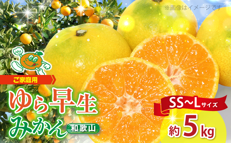 2026年先行予約】【ご家庭用 極早生】和歌山 有田ゆら早生みかん 約5kg