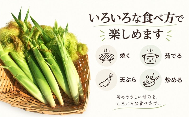 ツカ　ヒゲ葉っぱ多め　ヤングコーン100本　新鮮朝採り　収穫日即日発送 2027年 先行予約】 もぎたて発送！山梨県産 ヤングコーン 選べる 30本