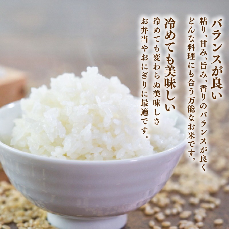 先行予約】 令和8年産 新米 ひとめぼれ 5kg 岩手県産 米 白米 はくまい