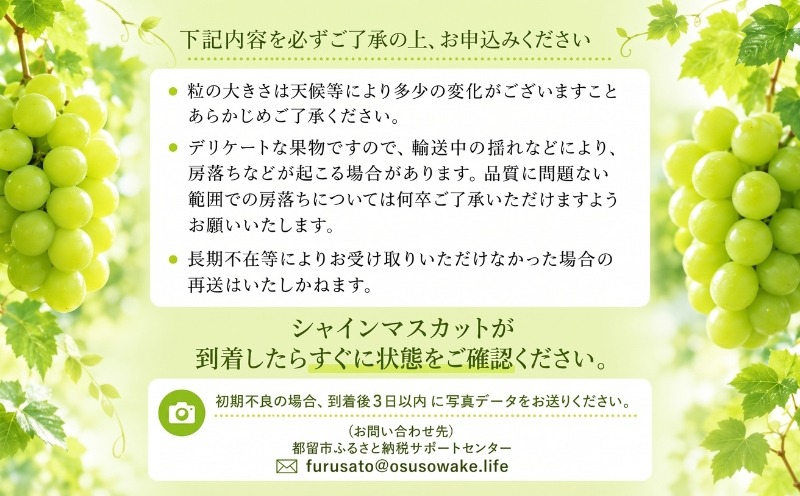 シャインマスカットのお届けに関する注意事項と到着後の確認