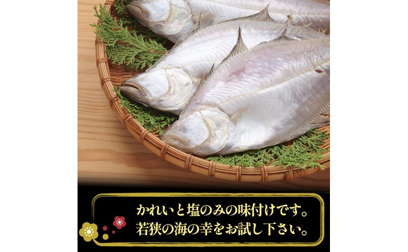 魚介類(加工食品) reiya エテカレイ干物 1kg(5～8尾) 魚 干物 エテカレイ 加工食品 ひらき 魚介