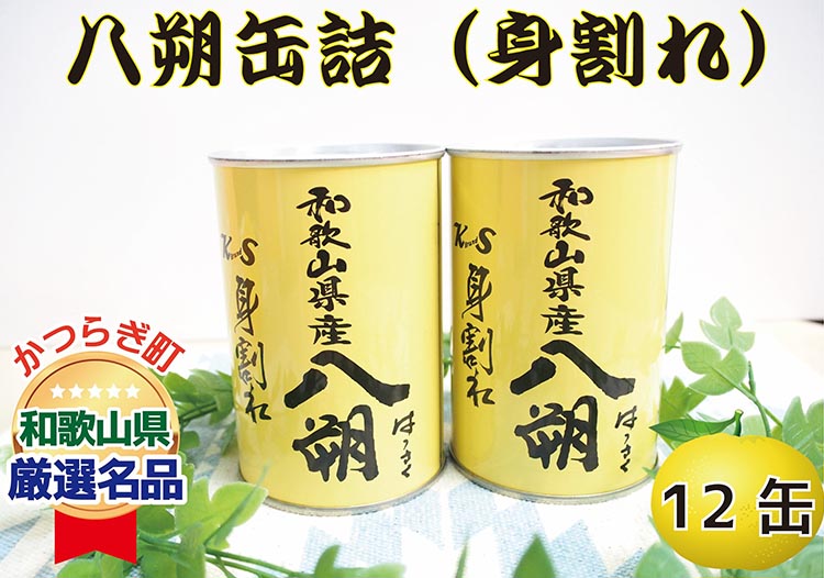 和歌山県産八朔缶詰（身割れ）425g×12缶セット◇（和歌山県美浜町