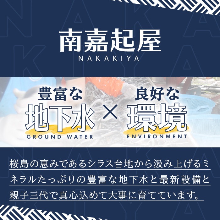 0165707a】大隅産鰻フレッシュ冷凍(4パック・計約400g・タレ、刷毛付