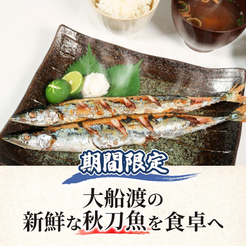 なまさんま 4534010709104.jpg?v=1747794855