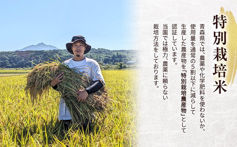 令和8年産 米 特別栽培米 はれわたり 30kg [玄米] 青森県産 新米 先行