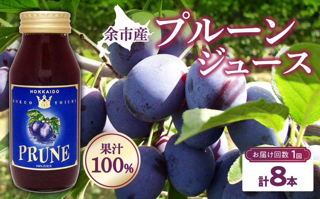 余市産 無添加 プルーン果汁100％ジュース 180ml×8本セット 鉄分 食物
