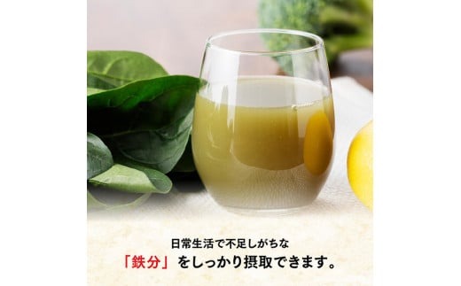 野菜ジュース 【6ヶ月定期便】伊藤園 充実野菜 緑の野菜ミックス（紙