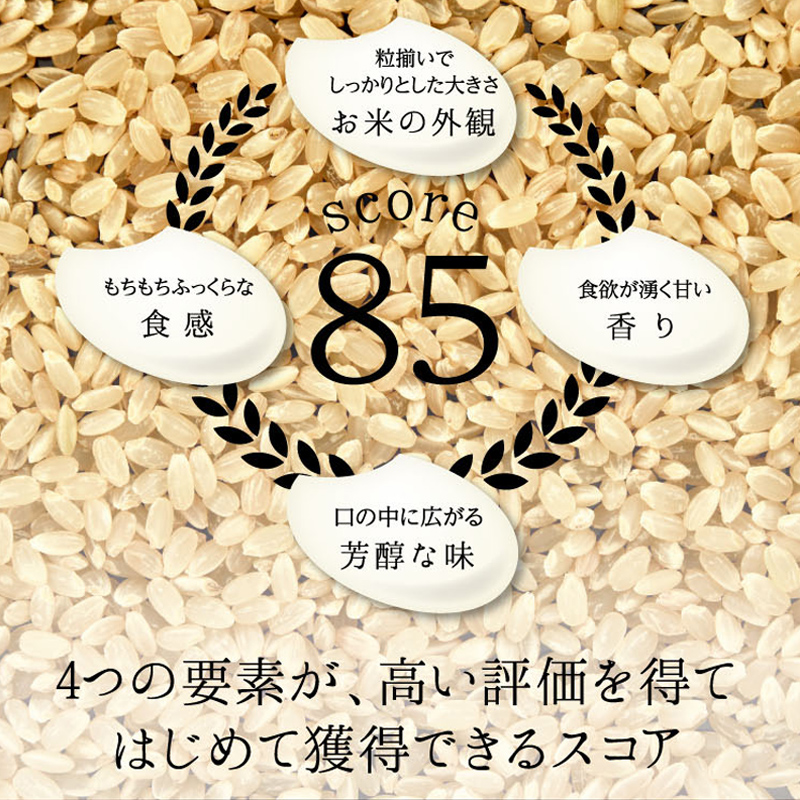 9回定期】特別栽培米 コシヒカリ ヒロシノキモチ 無洗米 5kg 総計45kg