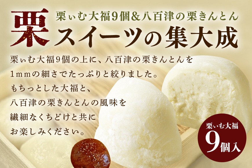 d11b4f9b-d300-4653-95b0-