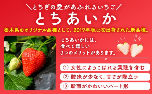 いちご（とちあいか） 290g×10パック 2.9kg以上｜先行予約 数量限定