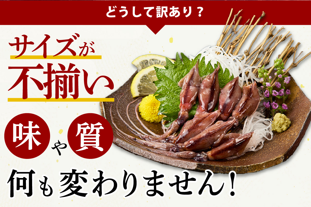 先行予約》 訳あり 生 ほたるいか ホタルイカ 小分け 便利 250g×6