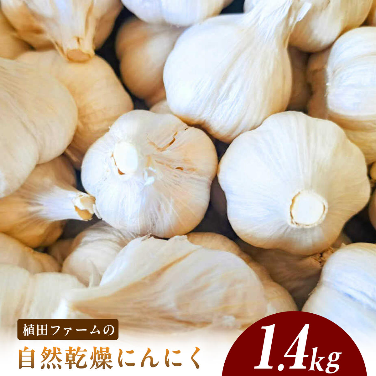 植田ファームの自然乾燥平戸にんにく約1.4kg /ガーリック ニンニク