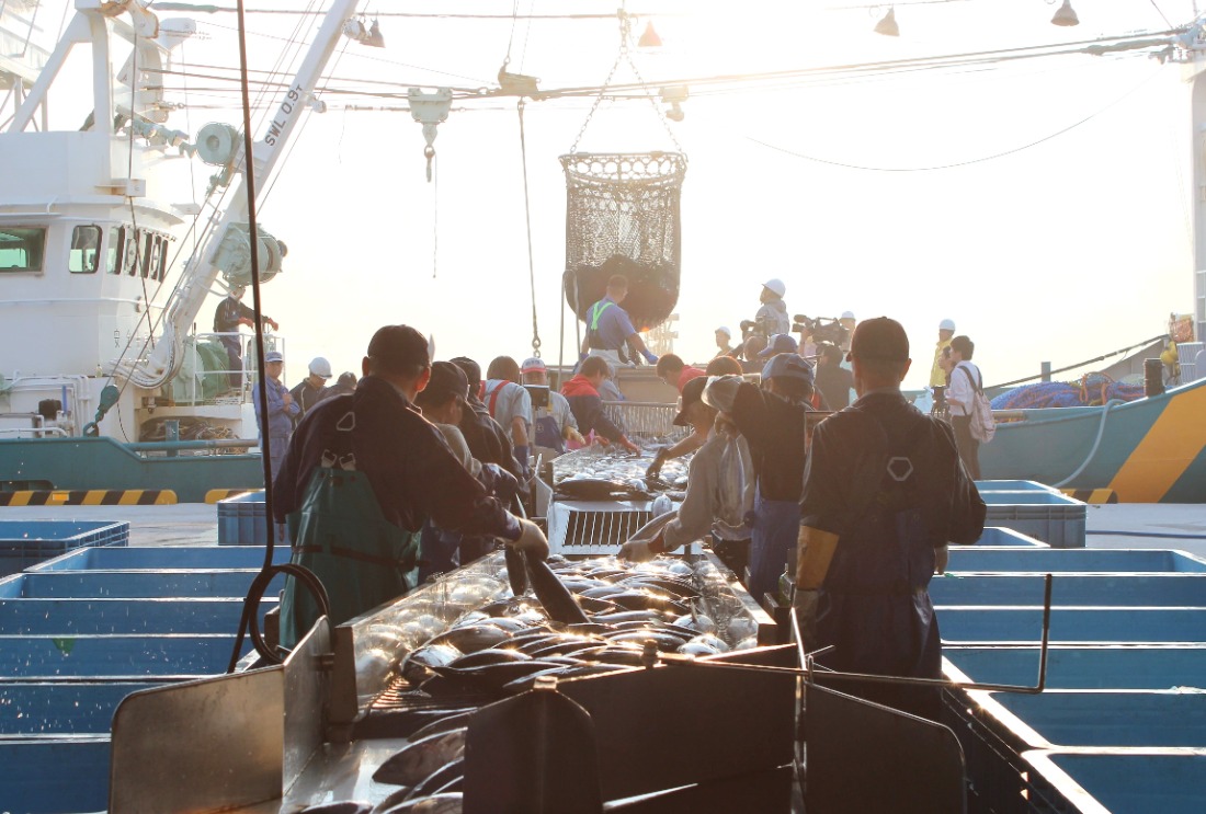 【令和8年度】気仙沼の“美味しい”をこれからも！　～水産都市として日本の食を支えるプロジェクト～