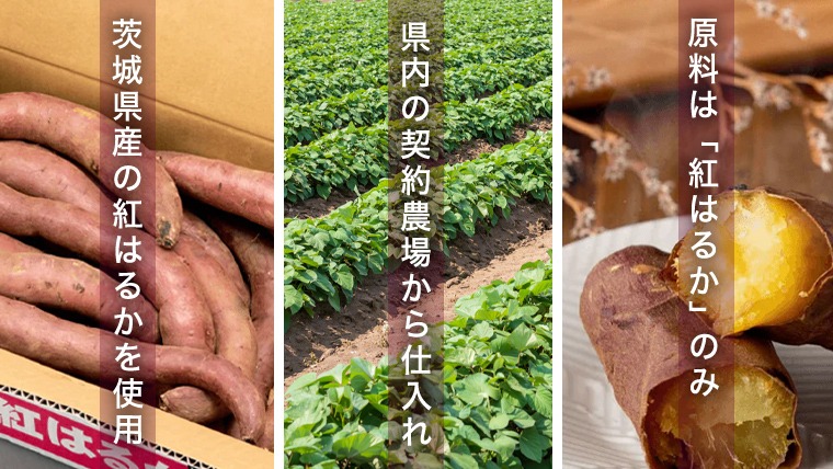 塚田商店 】 茨城県産 干し芋 食べ比べ 4種セット ( 100g × 4袋