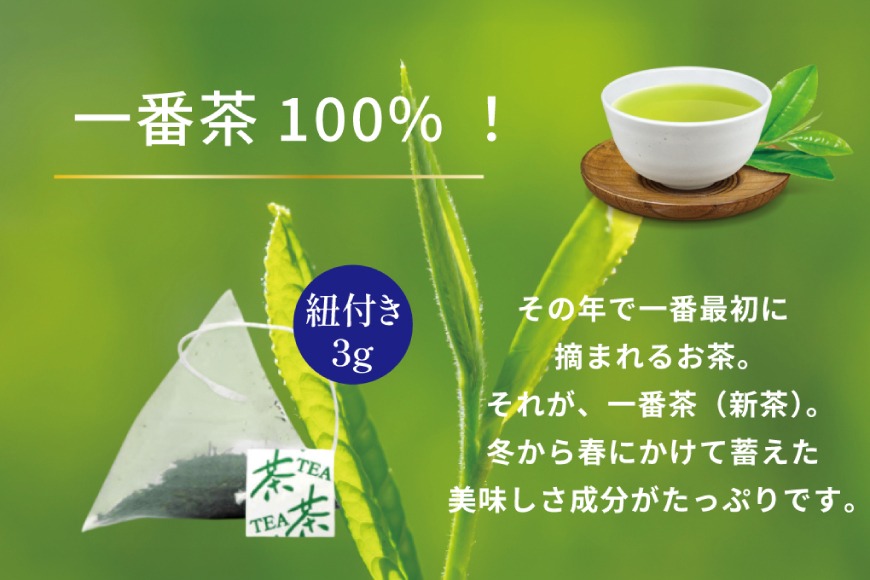 お茶 ティーバッグ 特撰 みやざき煎茶 紐付き 10袋 セット [谷岩茶舗