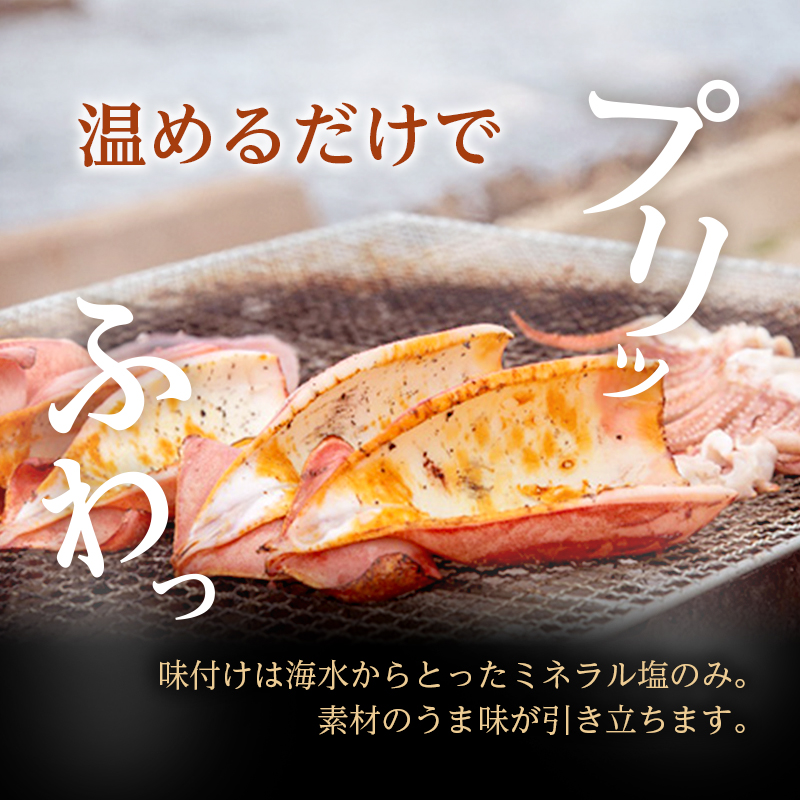 イカ 炭火焼きイカ 5パック セット 青森 いか 干物 干物セット するめ