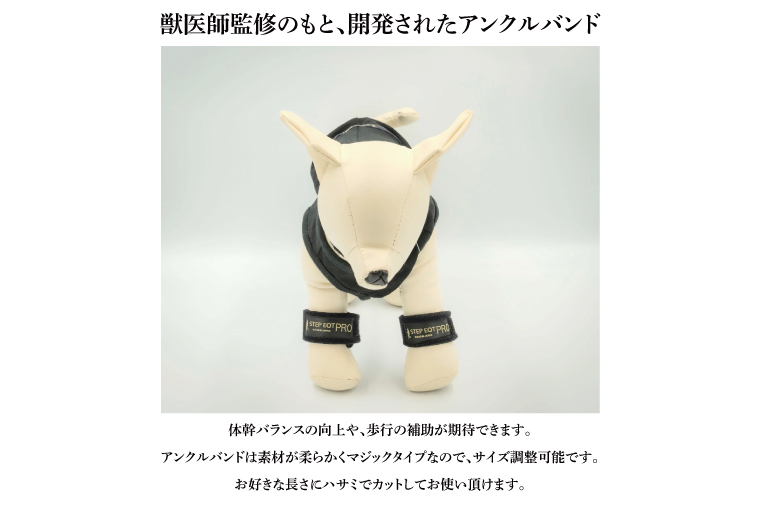 アンクルバンド ワンちゃん用（小型犬〜中型犬用） 2本組 STEP EQT PRO