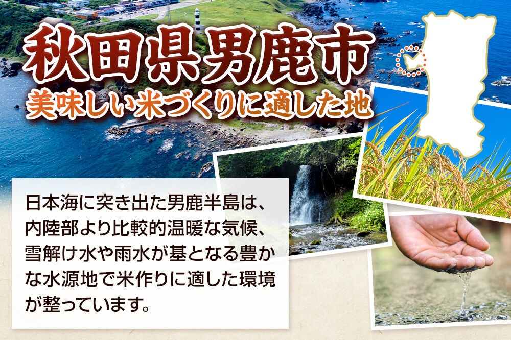 令和8年産新米先行受付》【定期便7ヶ月】 あきたこまち 無洗米 5kg