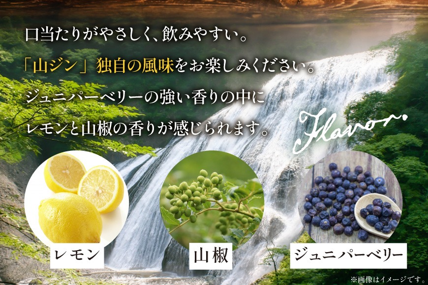 ジン 山ジン 700ml ×1本 [サン.フーズ 山梨県 韮崎市 20743785] 酒 お