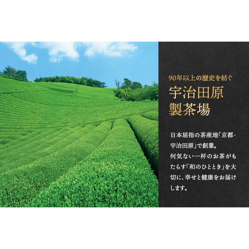 こいまろ茶缶入ギフト2本組(120g缶入×2本)〈お茶 茶 緑茶 煎茶 宇治